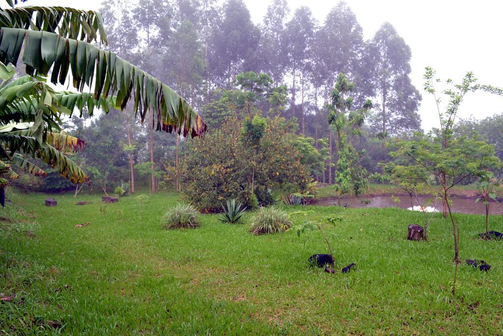 Pousada Guata Pora Foz do Iguaçu Exterior foto