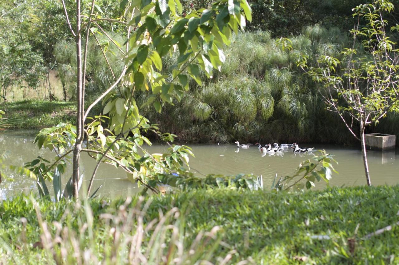 Pousada Guata Pora Foz do Iguaçu Exterior foto